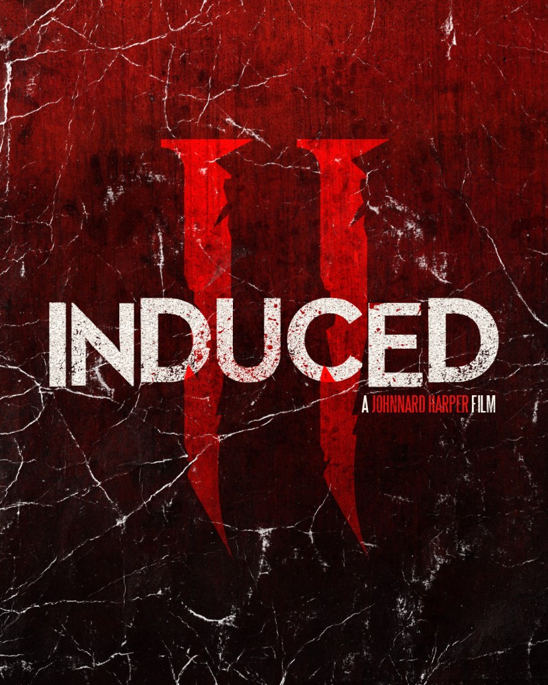 Induced_2__2024